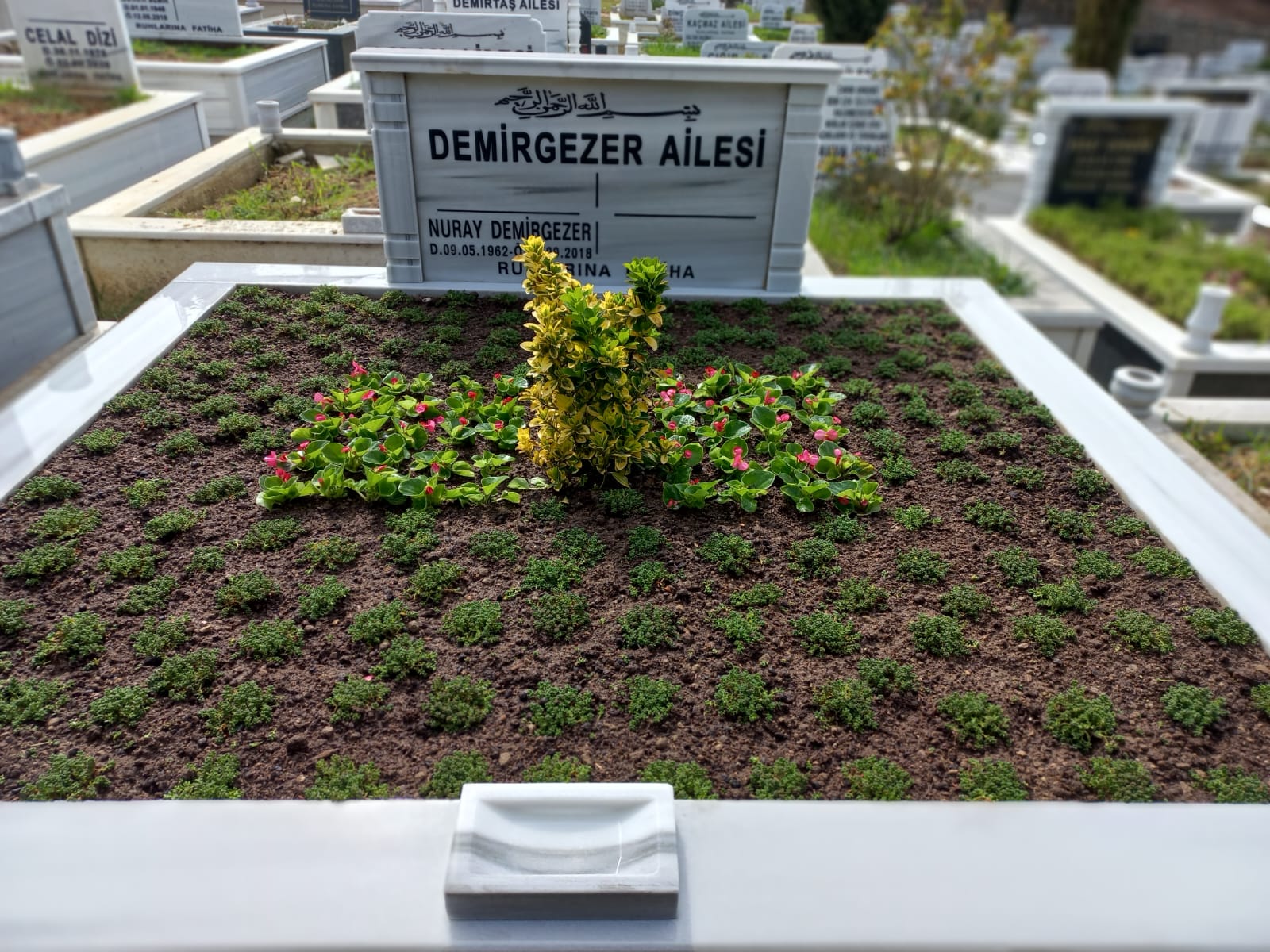 Çevre Düzenleme ve Peyzaj