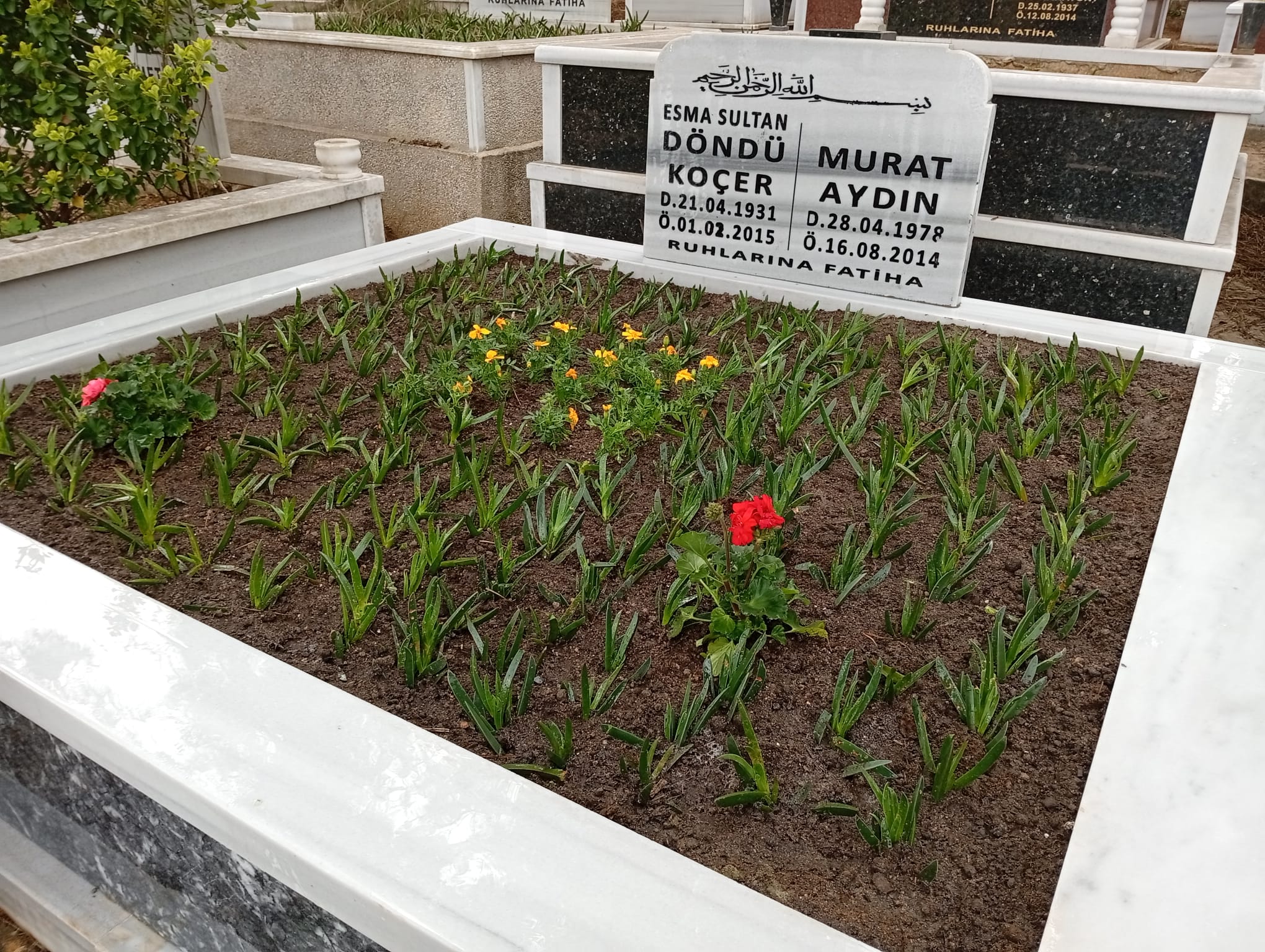 İstanbul’da Mezar Bakım Hizmetlerinde Güvenilir ve Titiz Yaklaşım